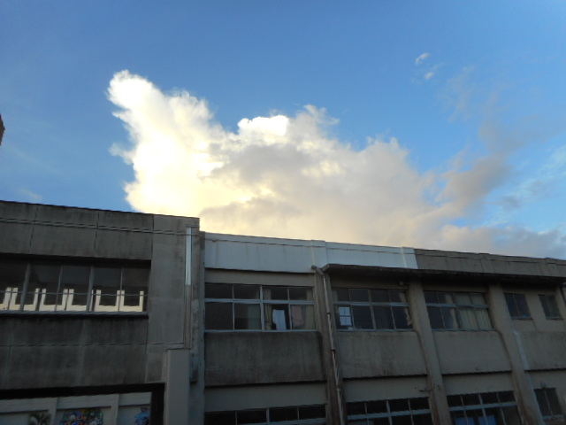d0098363_1640532.jpg
