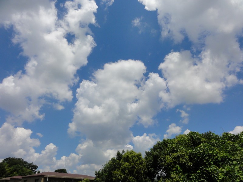 b0116765_22431155.jpg