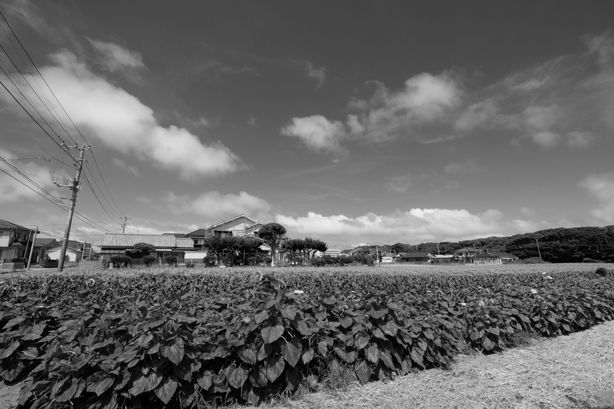 c0084666_00091861.jpg
