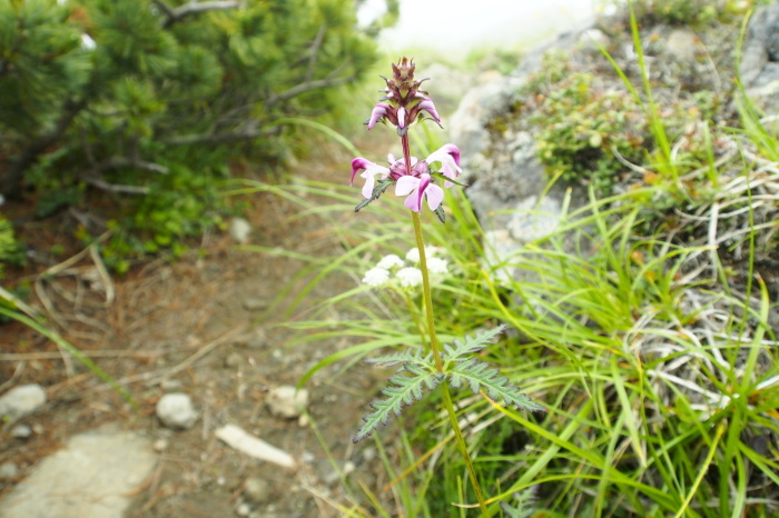 e0307372_22411876.jpg