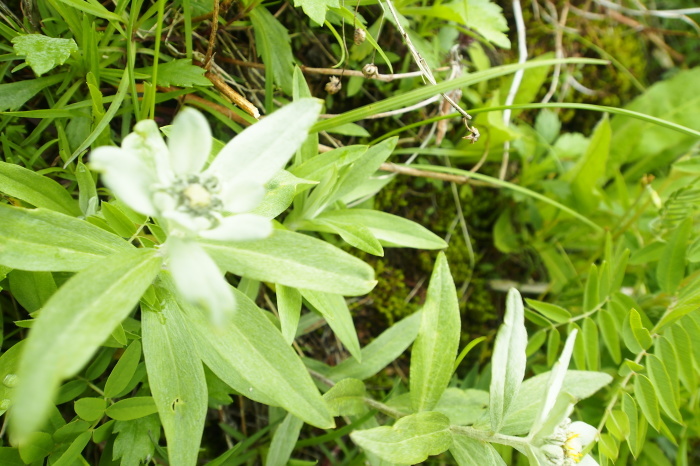 e0307372_22434198.jpg