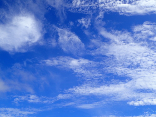 c0286574_16243188.jpg