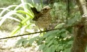 a0091680_17341650.jpg