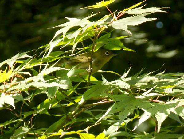 a0091680_17341754.jpg