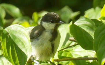 a0091680_17341856.jpg