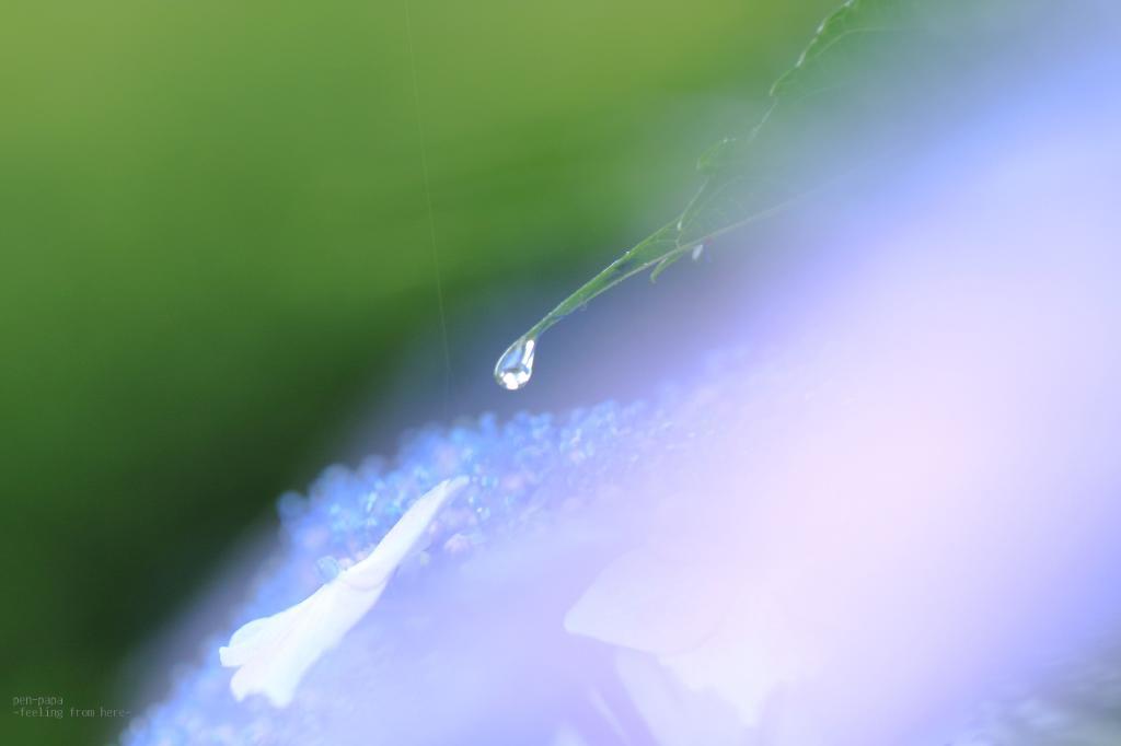 c0356480_20572070.jpg