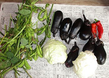 f0003283_18070510.jpg