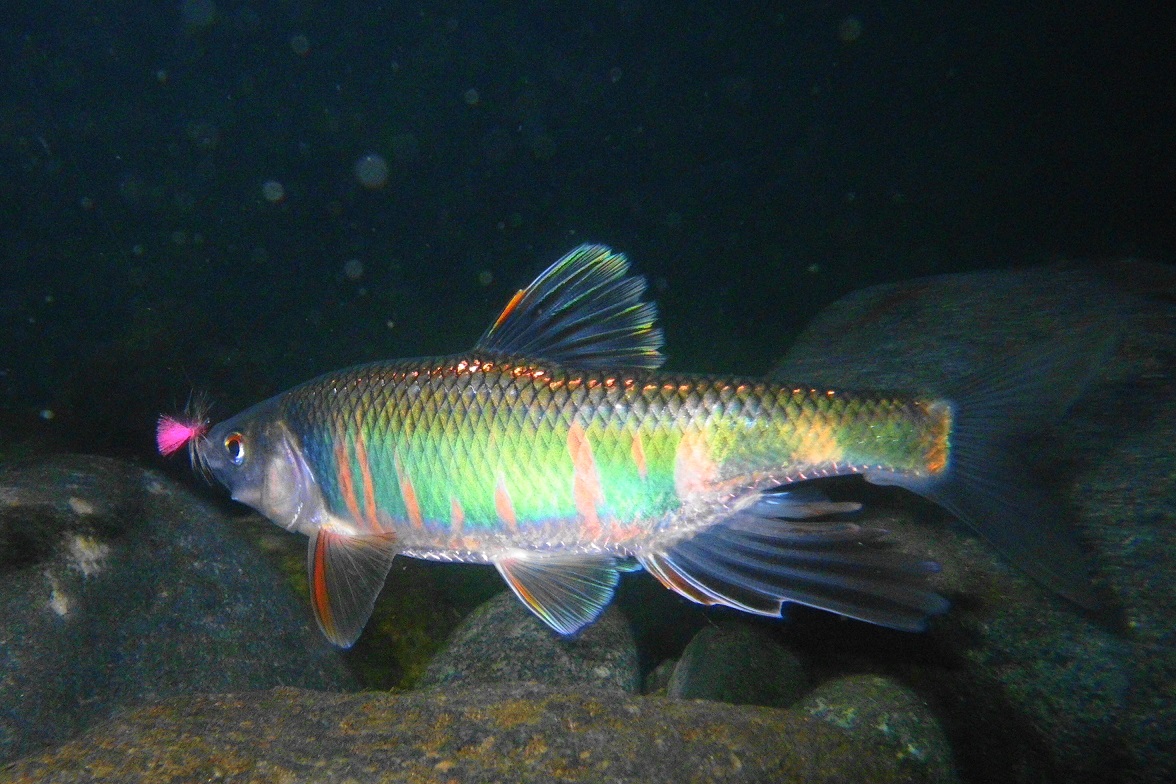 e0123808_23343146.jpg