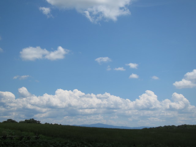 f0327308_08495267.jpg