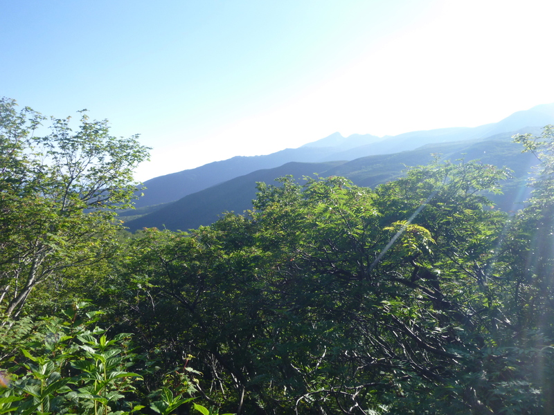 d0170615_14444023.jpg
