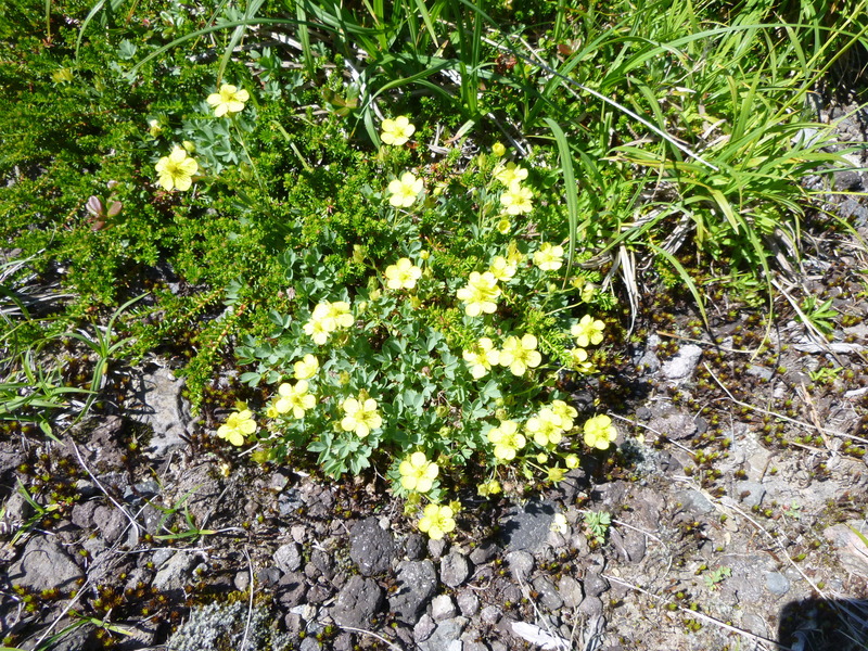 d0170615_1450364.jpg