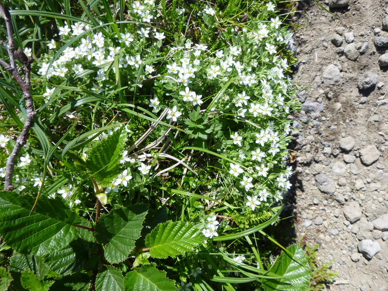 d0170615_1450518.jpg