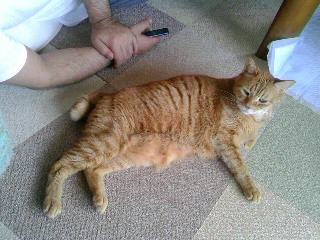 c0145016_201219100.jpg