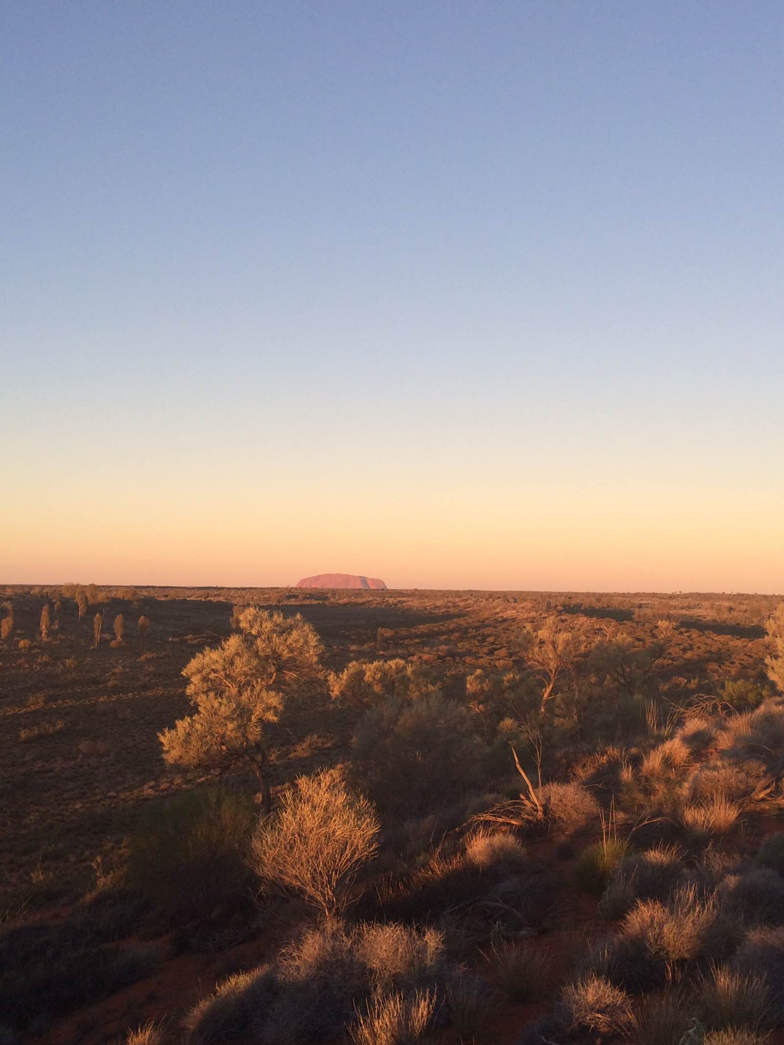 c0025422_1733534.jpg