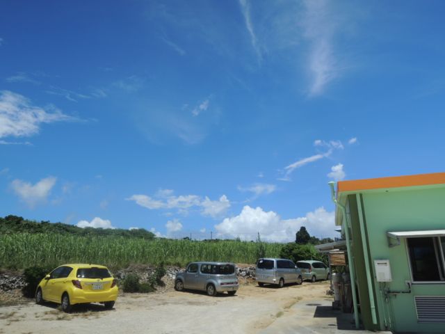 a0254130_1654527.jpg