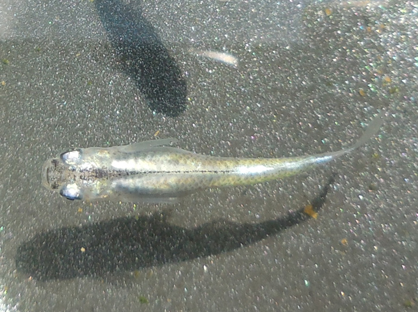 e0097534_17164130.jpg