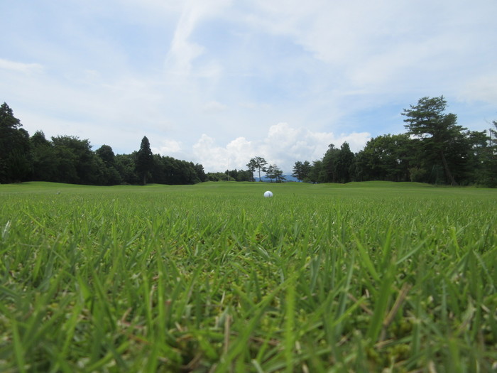 c0117936_9123396.jpg