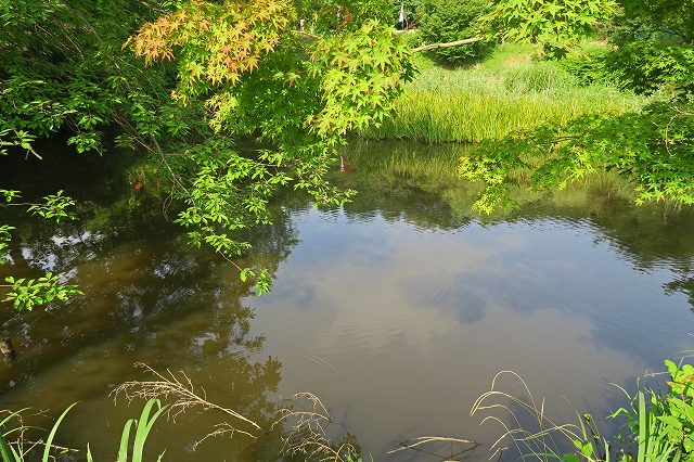 a0242438_21471693.jpg