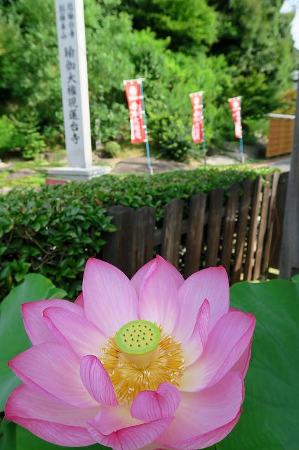 a0242438_2147384.jpg