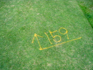 b0325640_1326086.jpg