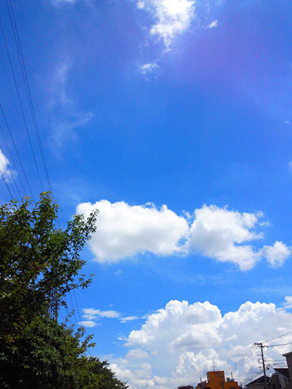 c0335348_1614875.jpg