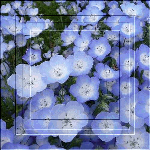 b0133752_2334155.gif