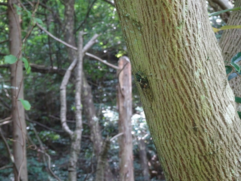 c0108460_21172087.jpg