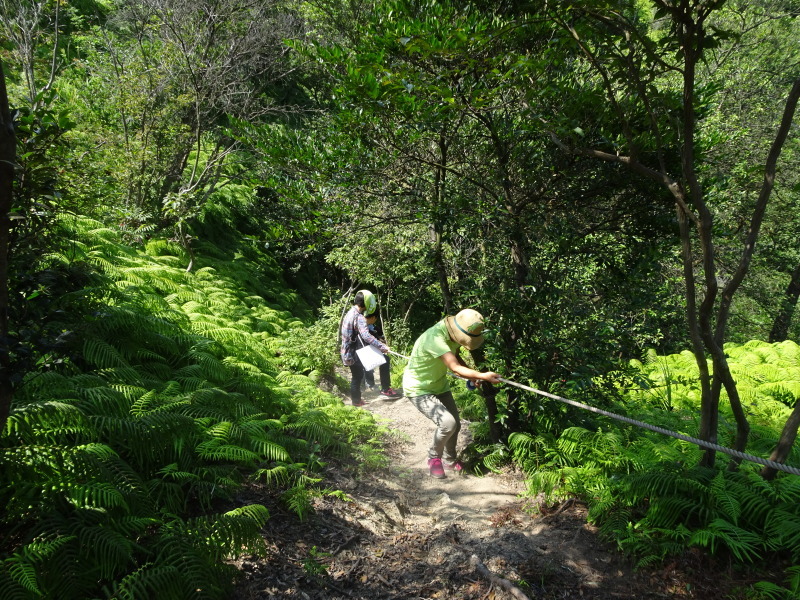 c0108460_21293226.jpg