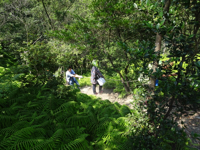 c0108460_21293852.jpg