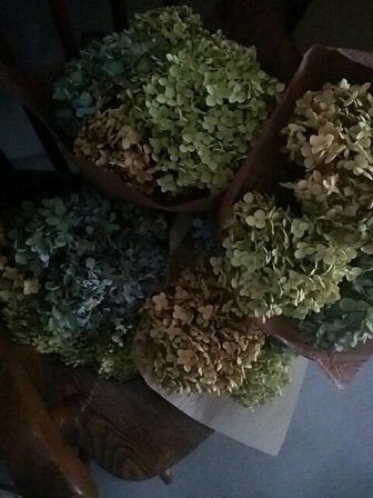 c0172261_5521169.jpg