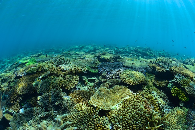 b0062363_20561570.jpg