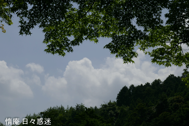 e0346064_16185437.gif