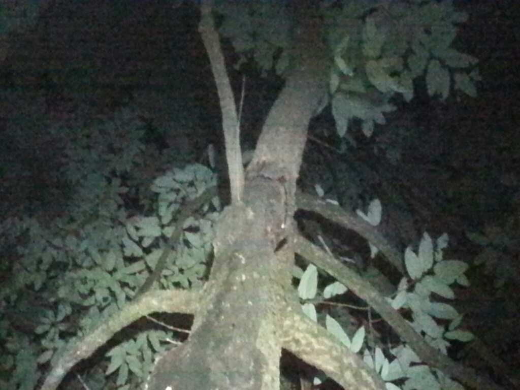 f0183484_16402888.jpg