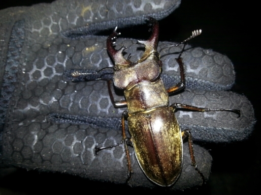 f0183484_16403176.jpg