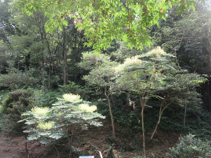 f0053885_1956129.jpg