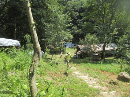 f0053885_2004274.jpg