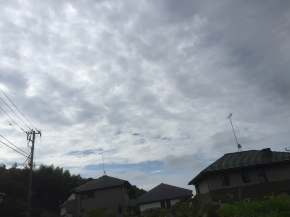 d0135694_02224454.jpg