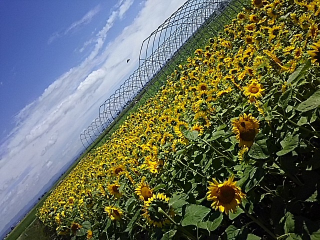f0316507_15103987.jpg
