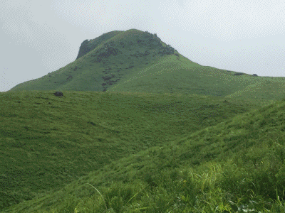 d0109916_22492874.gif