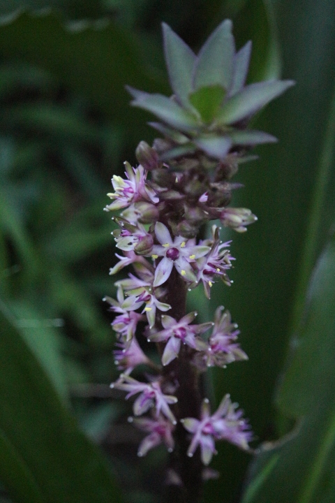 f0354923_17034807.jpg