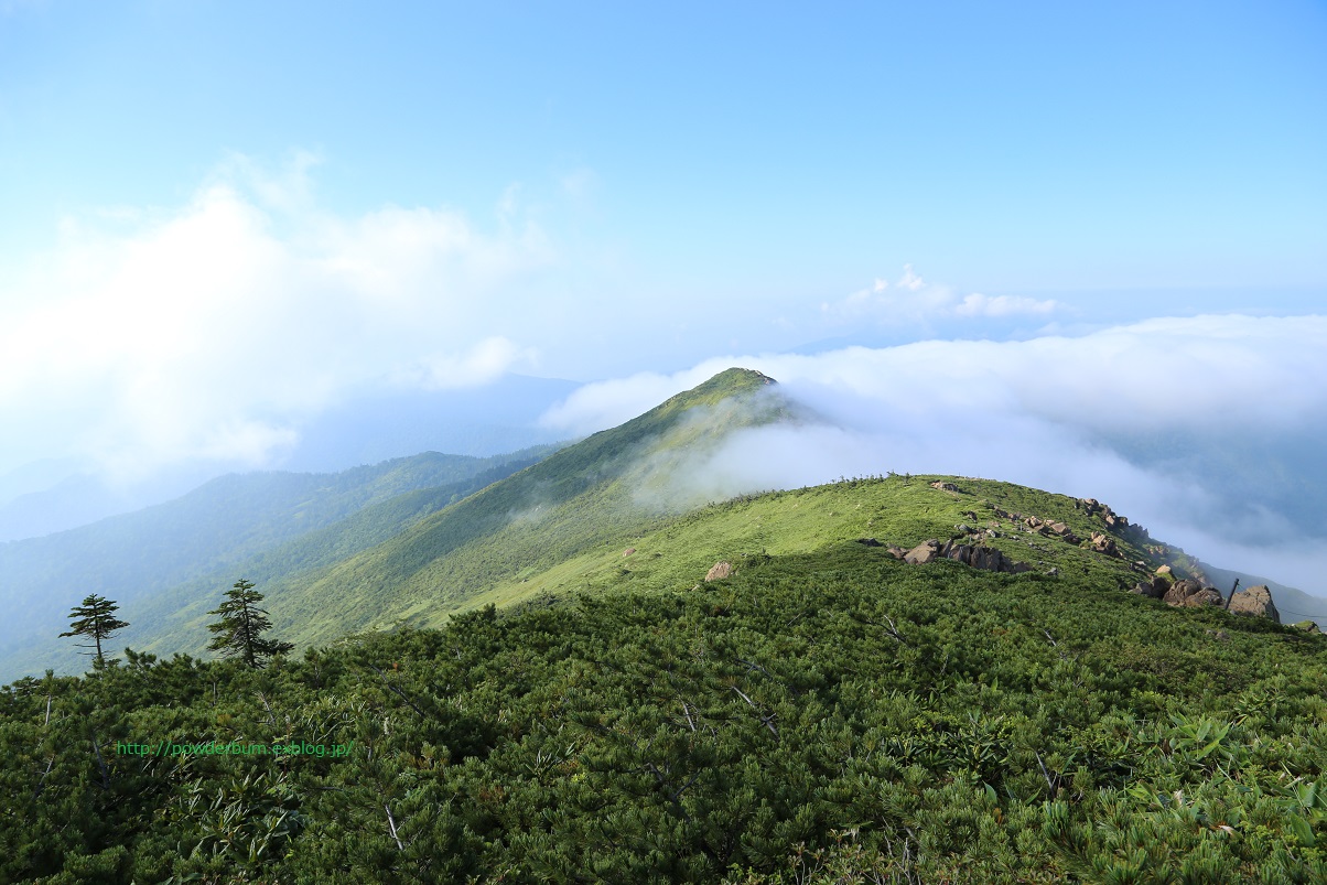 b0062024_13395275.jpg