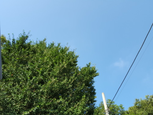 e0016828_09411539.jpg
