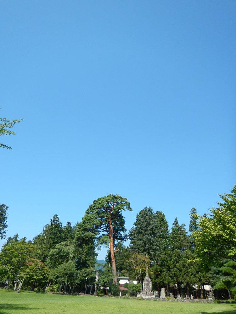 c0111229_1995389.jpg