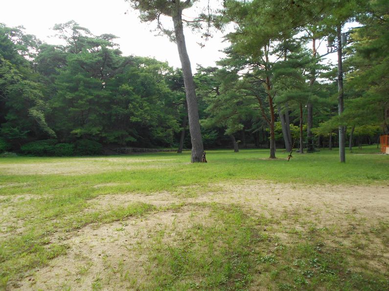 f0088731_8591393.jpg