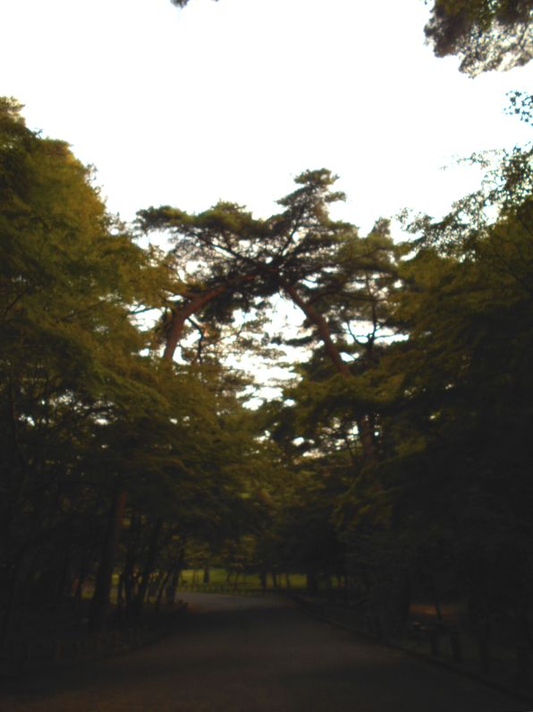 f0088731_903557.jpg