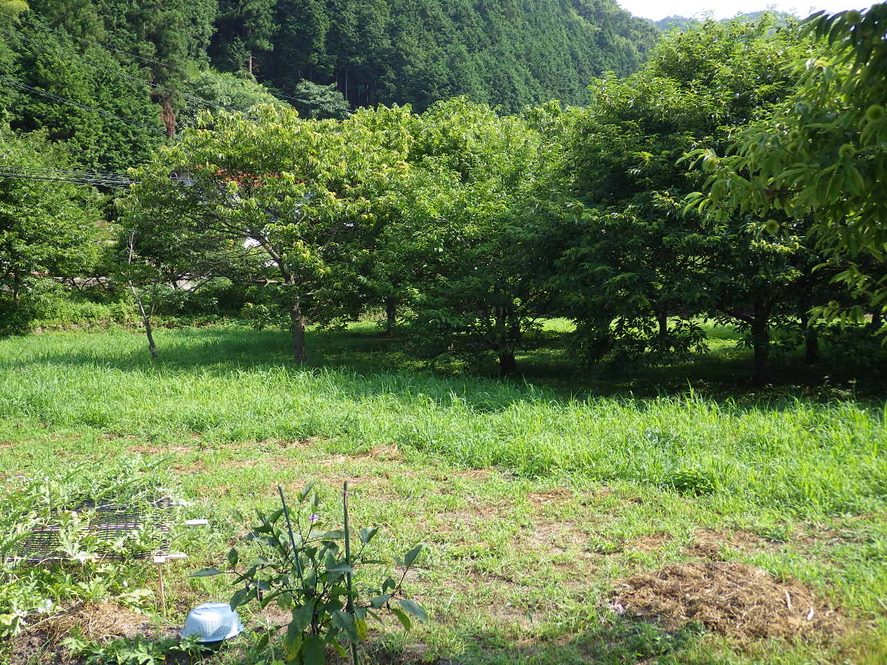 c0300035_927285.jpg
