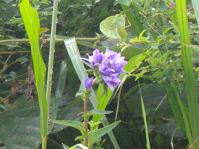 e0272335_12233080.jpg