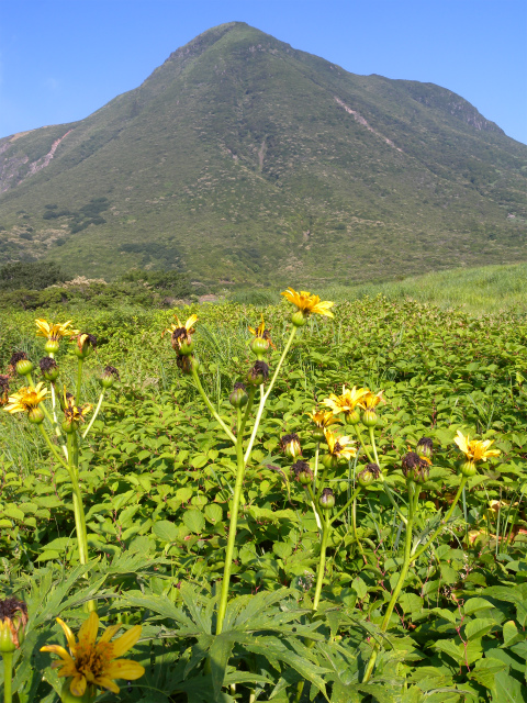 e0272335_5315525.jpg