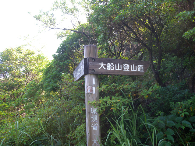 e0272335_534969.jpg