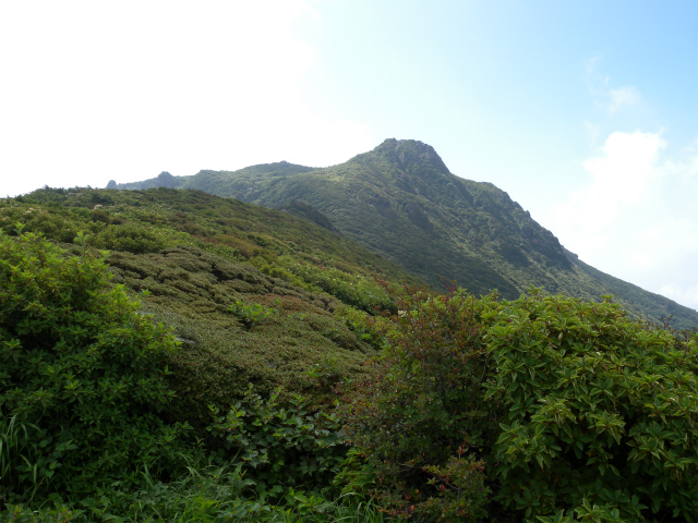 e0272335_550742.jpg